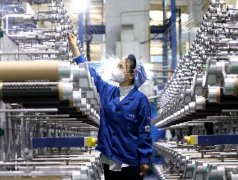 【行业动态】东南亚国家